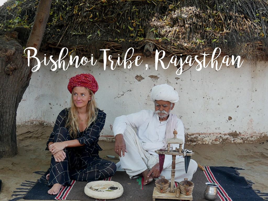 bishnoi village safari booking