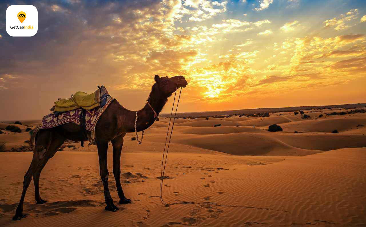 Desert-safari-in-jaisalmer-