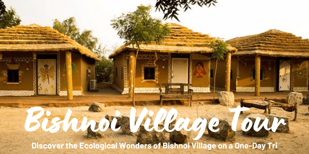 bishnoi village safari booking